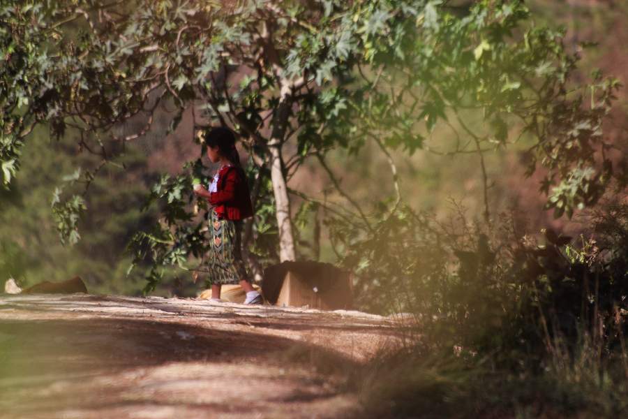 Migrantes, Teatro para un espectador